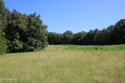 Ebenezer-coxburg Road, Lexington, MS 39095