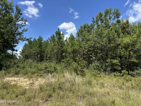 Ms-43, Poplarville, MS 39470
