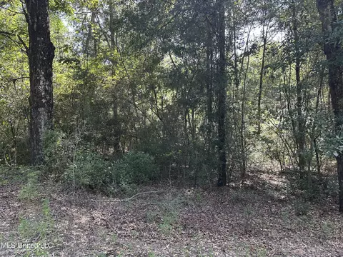 Lazy B Road, Lumberton, MS 39455