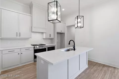 Kitchen - 229 Jasmine Cove Cir, Brandon, MS 39042 photo 1 of 1