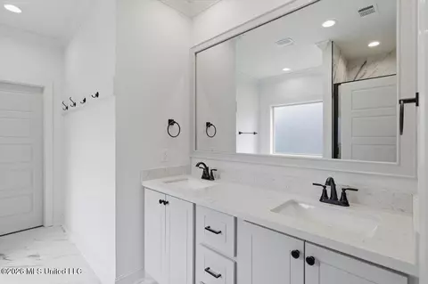 Bath - 229 Jasmine Cove Cir, Brandon, MS 39042 photo 1 of 4