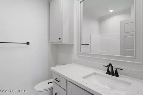 Bath - 229 Jasmine Cove Cir, Brandon, MS 39042 photo 3 of 4