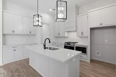 Other - 229 Jasmine Cove Cir, Brandon, MS 39042 photo 4 of 10