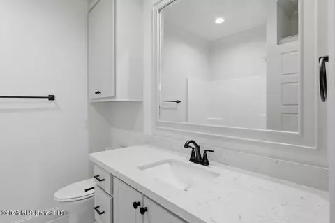 Bath - 229 Jasmine Cove Cir, Brandon, MS 39042 photo 4 of 4