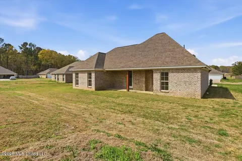 Exterior - 229 Jasmine Cove Cir, Brandon, MS 39042 photo 3 of 4