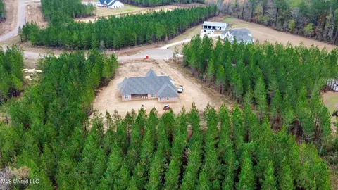 View/Area - 906 Old Glory Ln, Brandon, MS 39047 photo 1 of 1