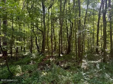 Darrington Road, Crosby, MS 39633 photo 6