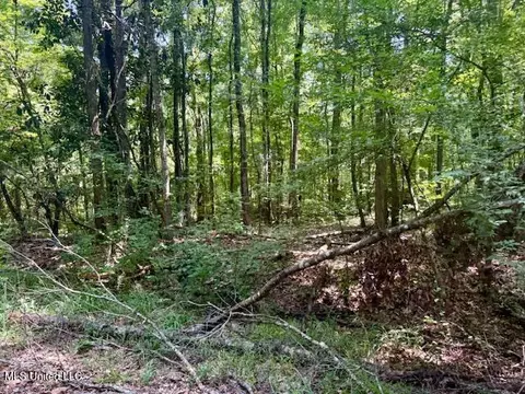 Darrington Road, Crosby, MS 39633 photo 14