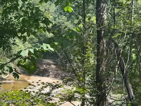 Darrington Road, Crosby, MS 39633 photo 4