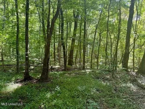Darrington Road, Crosby, MS 39633 photo 7