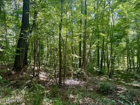 Darrington Road, Crosby, MS 39633 photo 15