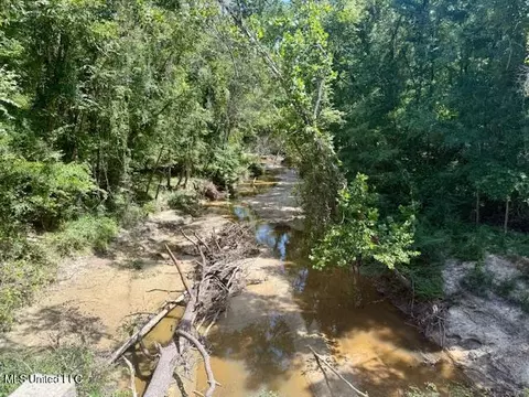Darrington Road, Crosby, MS 39633 photo 13