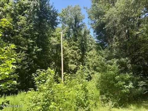 Darrington Road, Crosby, MS 39633 photo 12