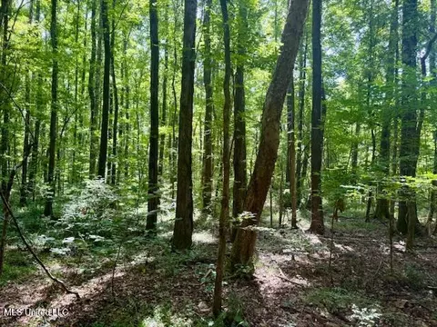 Darrington Road, Crosby, MS 39633 photo 9