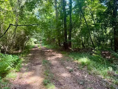 Darrington Road, Crosby, MS 39633 photo 5