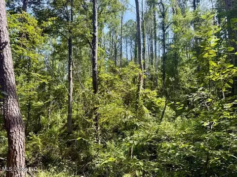 Darrington Road, Crosby, MS 39633 photo 11