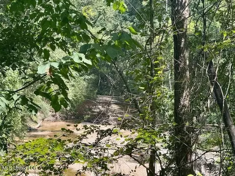 Darrington Road, Crosby, MS 39633 photo 10