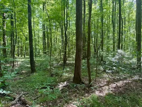Darrington Road, Crosby, MS 39633 photo 8
