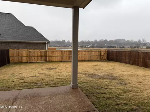 Exterior - 5267 Watson View Dr, Nesbit, MS 38651 photo 2 of 3