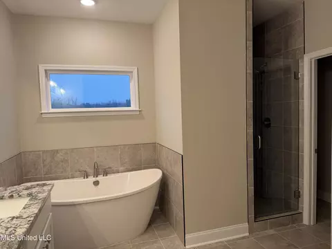 Bath - 5267 Watson View Dr, Nesbit, MS 38651 photo 2 of 2