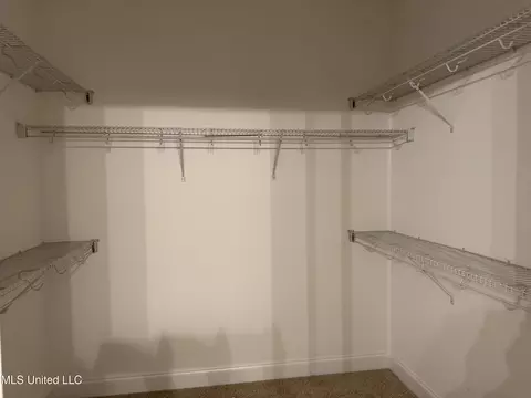 Other - 5267 Watson View Dr, Nesbit, MS 38651 photo 4 of 6