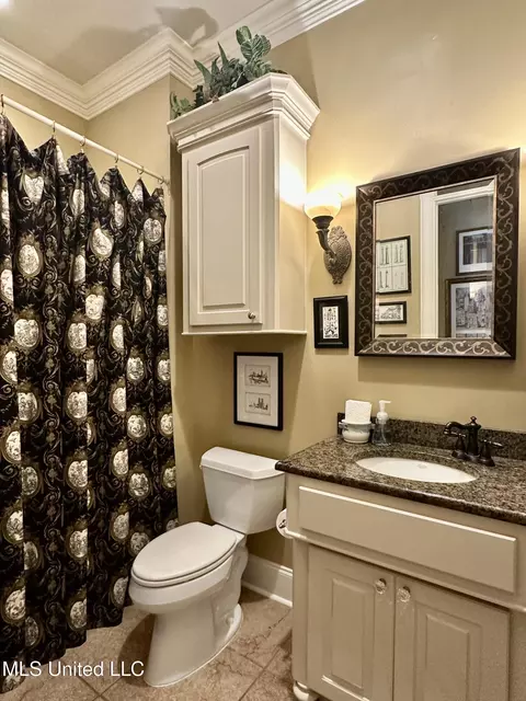 Bath - 127 Dunleith Way, Clinton, MS 39056 photo 11 of 11