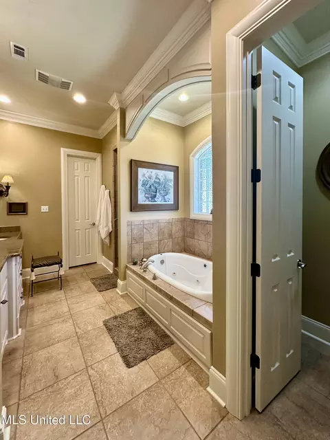 Bath - 127 Dunleith Way, Clinton, MS 39056 photo 4 of 11