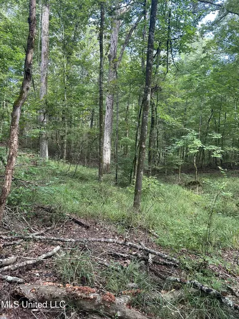 00 Raymond Rd, Hazlehurst, MS 39083 photo 3