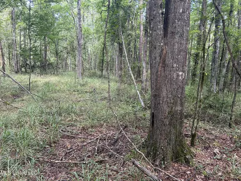 00 Raymond Rd, Hazlehurst, MS 39083 photo 6