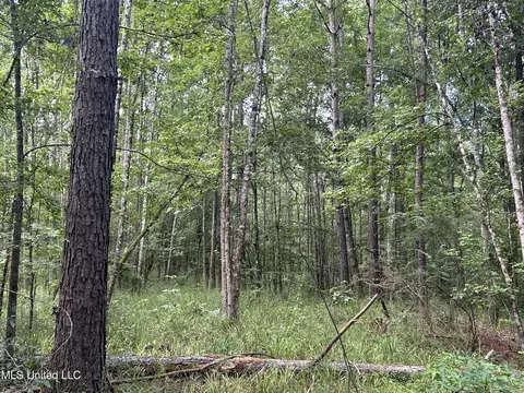 00 Raymond Rd, Hazlehurst, MS 39083 photo 9