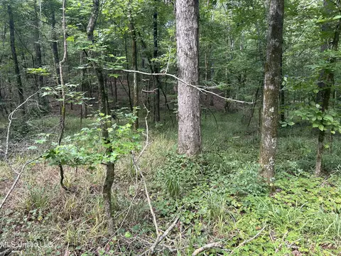 00 Raymond Rd, Hazlehurst, MS 39083 photo 7