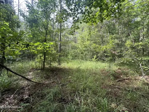 00 Raymond Rd, Hazlehurst, MS 39083 photo 10