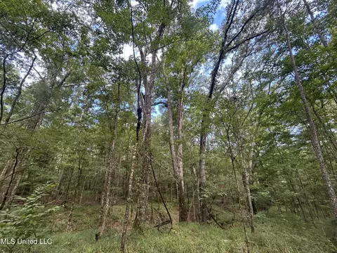 00 Raymond Rd, Hazlehurst, MS 39083 photo 8
