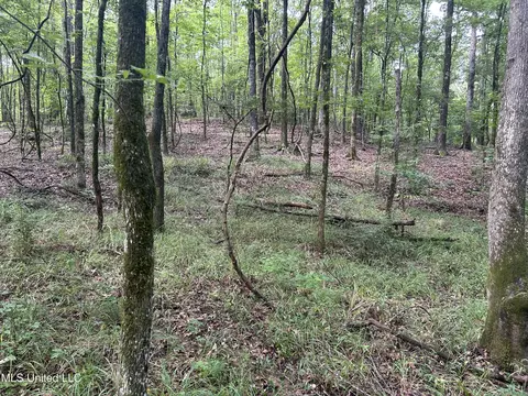 00 Raymond Rd, Hazlehurst, MS 39083 photo 5