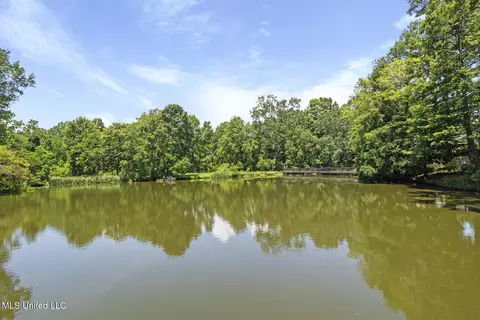 View/Area - 127 Winged Foot Cir, Jackson, MS 39211 photo 2 of 12