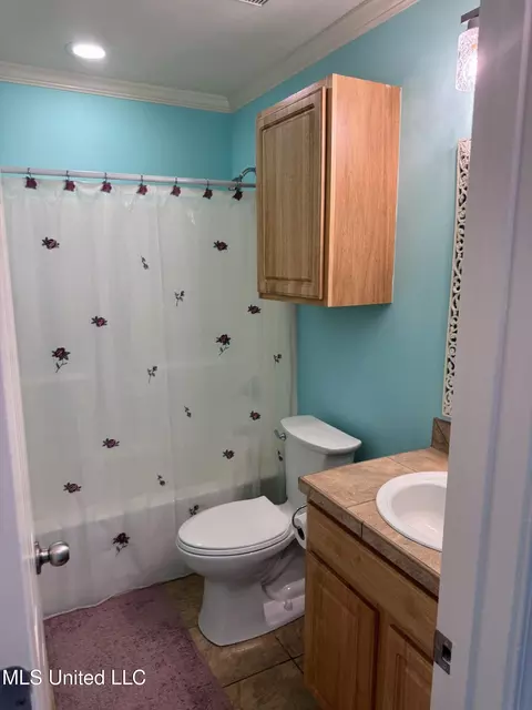 Bath - 616 Shadowridge Dr, Brandon, MS 39047 photo 1 of 2