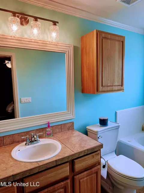 Bath - 616 Shadowridge Dr, Brandon, MS 39047 photo 2 of 2