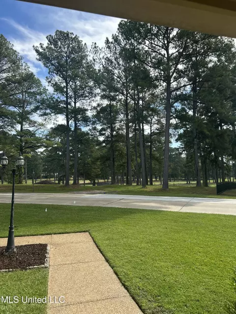 106 Bay Pointe Pl, Brandon, MS 39047 photo 48
