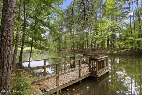 Other - 1629 Kimbell Rd, Terry, MS 39170 photo 8 of 12