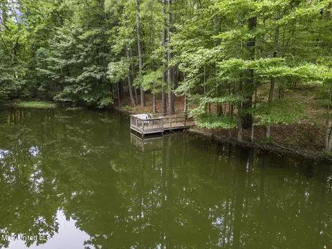 View/Area - 1629 Kimbell Rd, Terry, MS 39170 photo 2 of 5