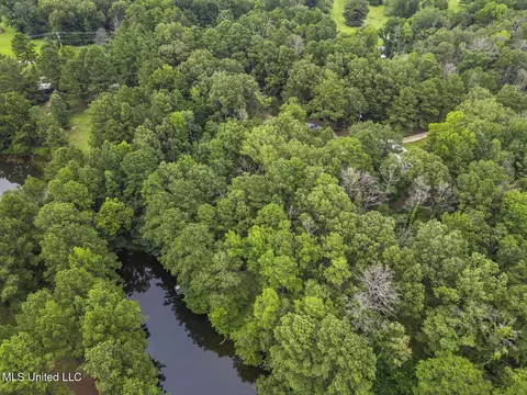 View/Area - 1629 Kimbell Rd, Terry, MS 39170 photo 4 of 5