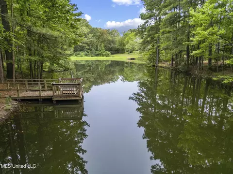 View/Area - 1629 Kimbell Rd, Terry, MS 39170 photo 1 of 5