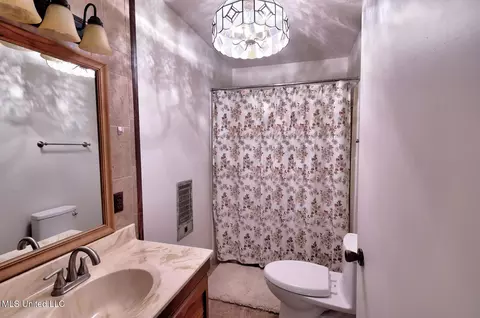 Bath - 3953 Standing Pine Rd, Carthage, MS 39051 photo 2 of 3