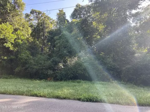 Jackson Landing Road, Picayune, MS 39466