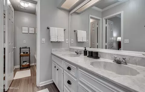 Bath - 556 Cliffview Dr, Brandon, MS 39047 photo 5 of 7