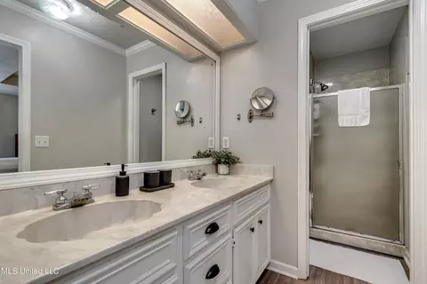 Bath - 556 Cliffview Dr, Brandon, MS 39047 photo 3 of 7