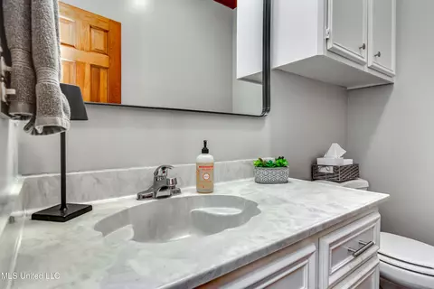 Bath - 556 Cliffview Dr, Brandon, MS 39047 photo 1 of 7