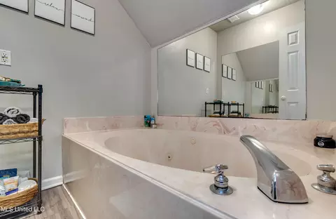 Bath - 556 Cliffview Dr, Brandon, MS 39047 photo 2 of 7