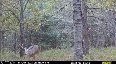 Other - 101 Tyler Ln, Sledge, MS 38670 photo 23 of 39