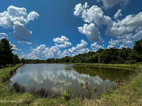 View/Area - 101 Tyler Ln, Sledge, MS 38670 photo 8 of 8